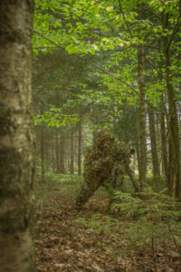 Camouflage is not only for shooters, but also for photographers, for example